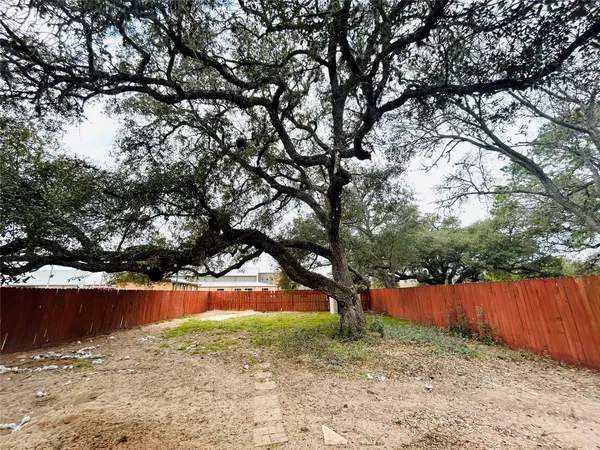 a view of lake with tree