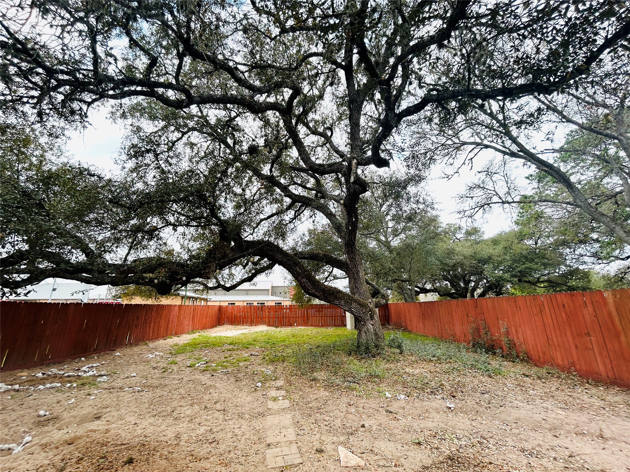 206 Milentz Street Columbus, TX 78934 - Photo 4 of 10 a view of lake with tree