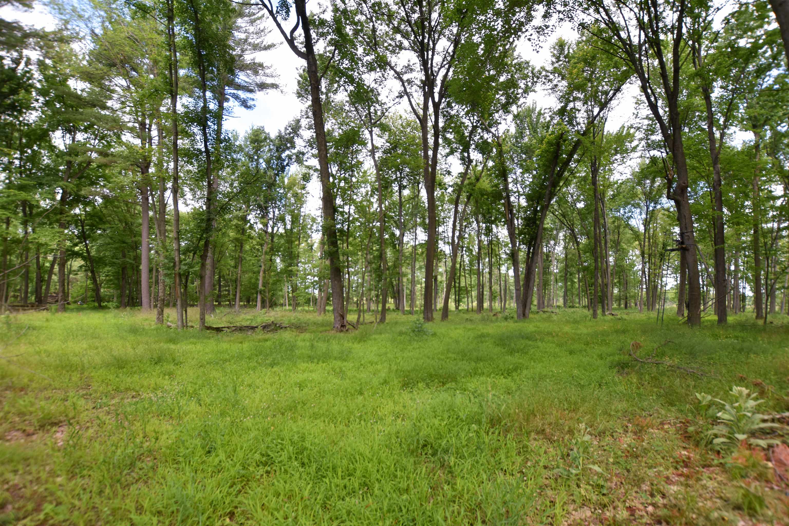 County Road Weyauwega, WI 54983 - Photo 10 of 72