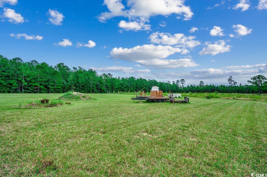 5517 Tranquil Road Conway, SC 29527 - Photo 30 of 39 View of yard
