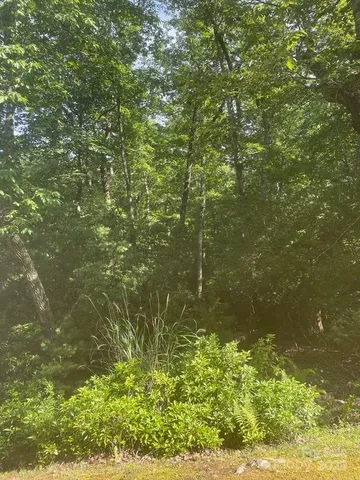 $49,900 | Lot 85 North R N Running Deer Trail, Horse Shoe, NC 28742