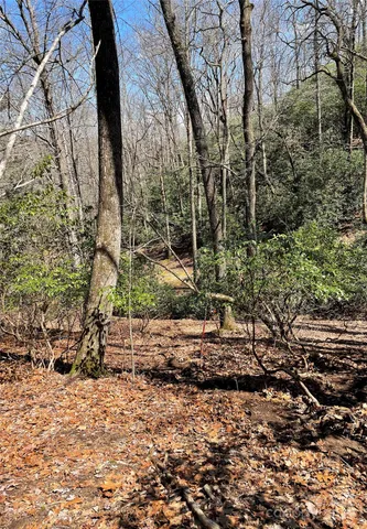 a view of a yard with trees