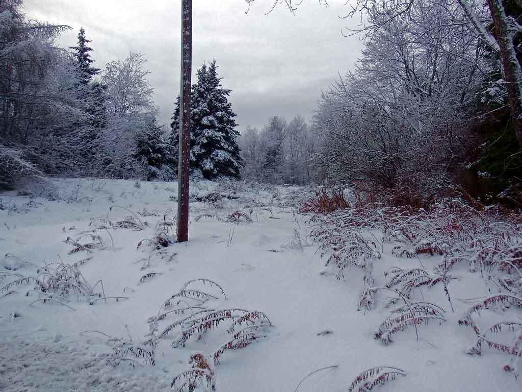 110 B Road Houlton, ME 04730 - Photo 19 of 23 110-b-rd-houlton-land-2
