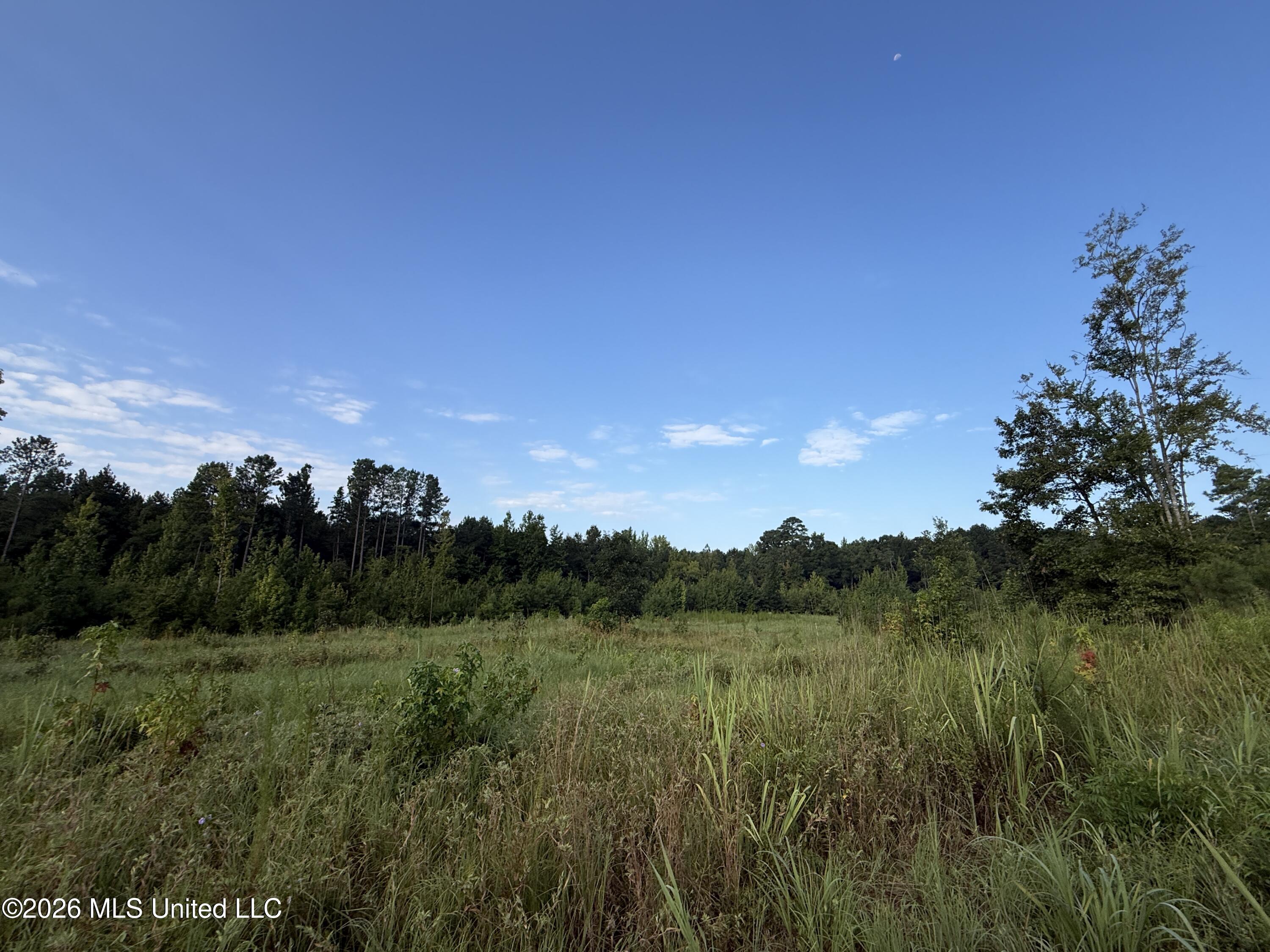 4102 Co Road Sallis, MS 39160 - Photo 8 of 35 IMG_7176