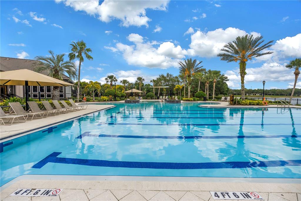 14652 Bournemouth Road Tampa, FL 33626 - Photo 68 of 78 Gallery Image 68