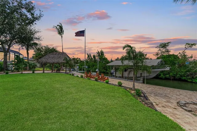 a view of a park with a tree and plants