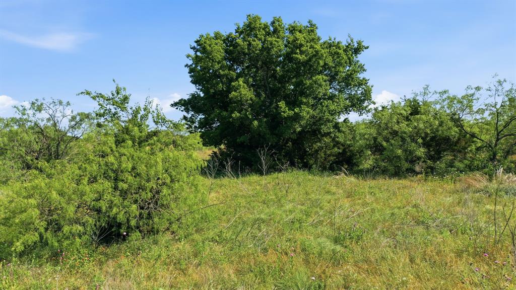 191 Rd Blum Tx 76627 Road Blum, TX 76627 - Photo 7 of 12
