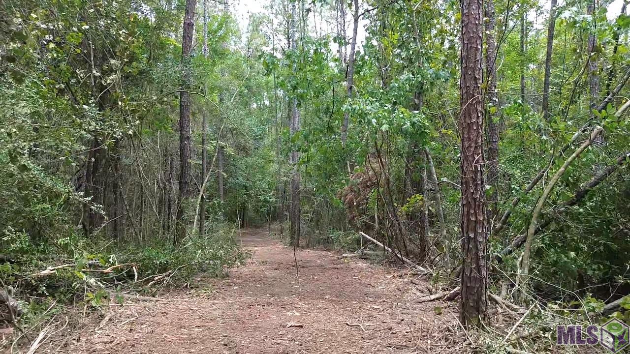 Tract C Isabel Swamp Road Bush, LA 70431 - Photo 15 of 18 Gallery Image 15