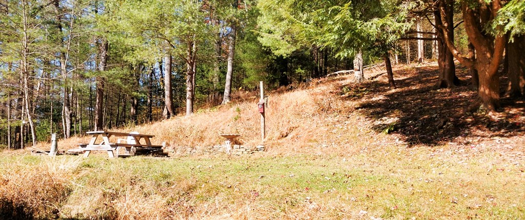 287 Blue Ridge Road Clarington, PA 15828 - Photo 33 of 42