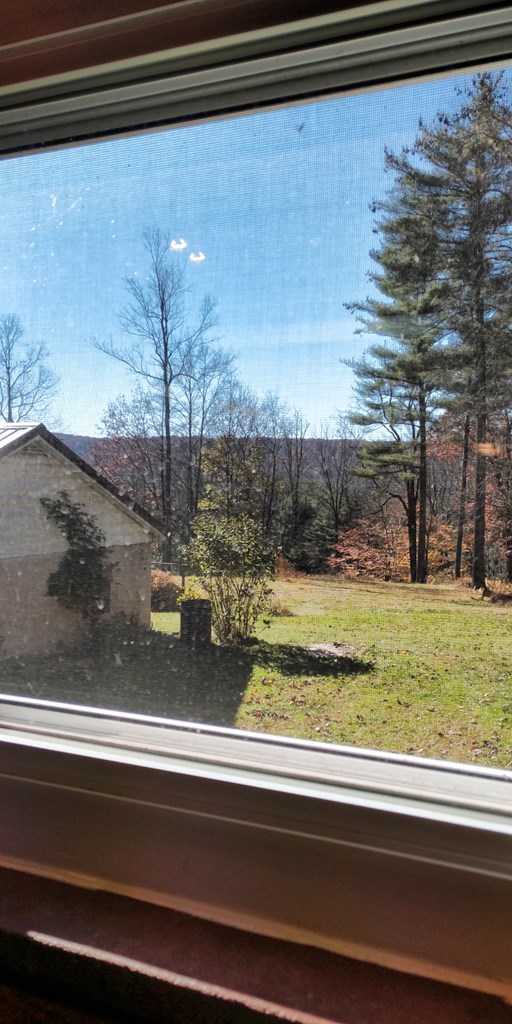 287 Blue Ridge Road Clarington, PA 15828 - Photo 7 of 42