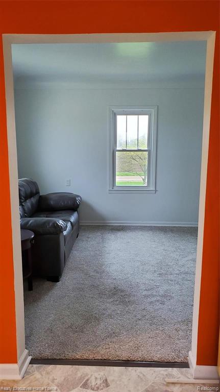 3301 Farr Road Applegate, MI 48401 - Photo 7 of 30 Gallery Image 7