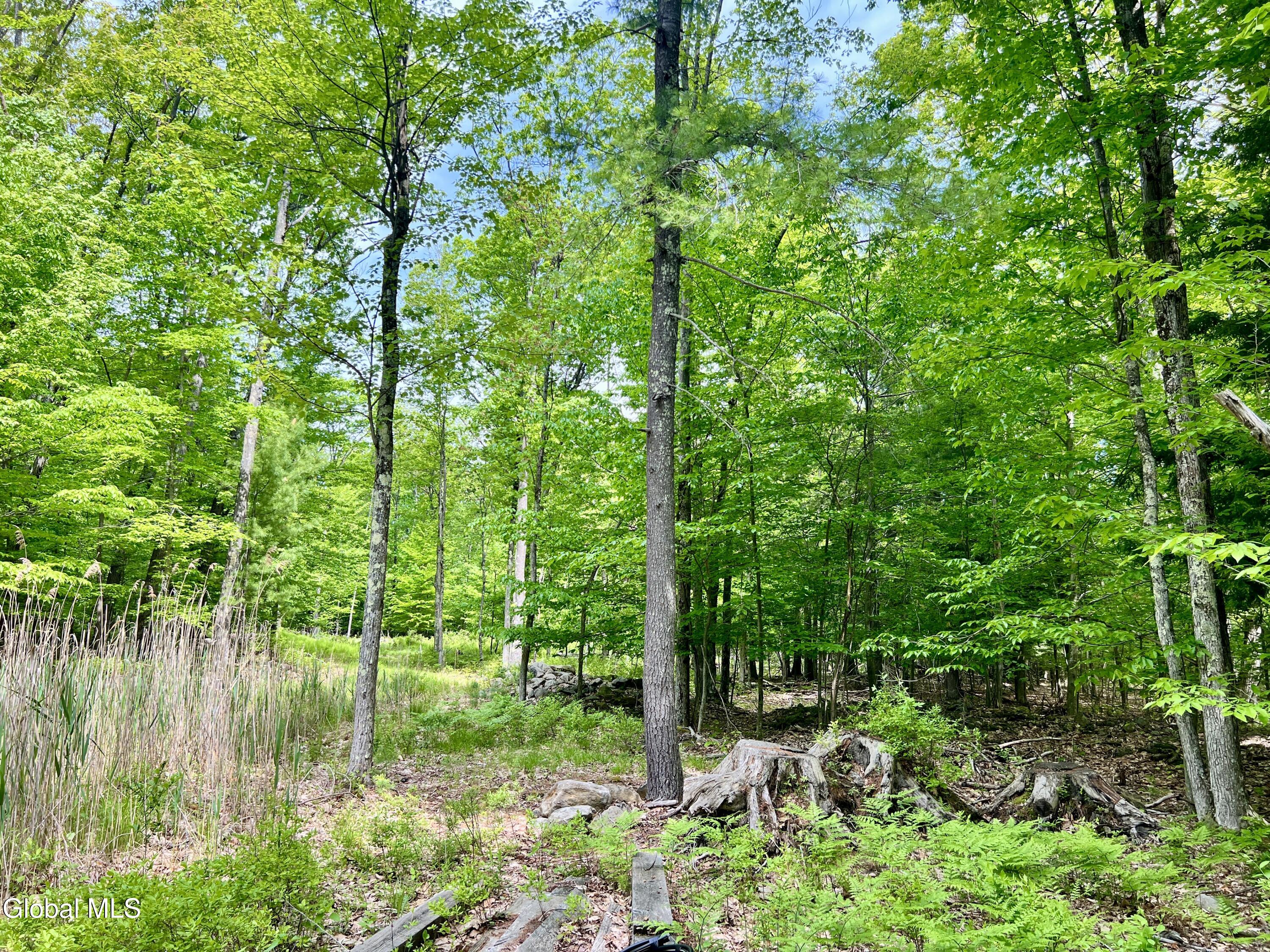 25 Catlin Road Poestenkill, NY 12018 - Photo 7 of 14 IMG_8986