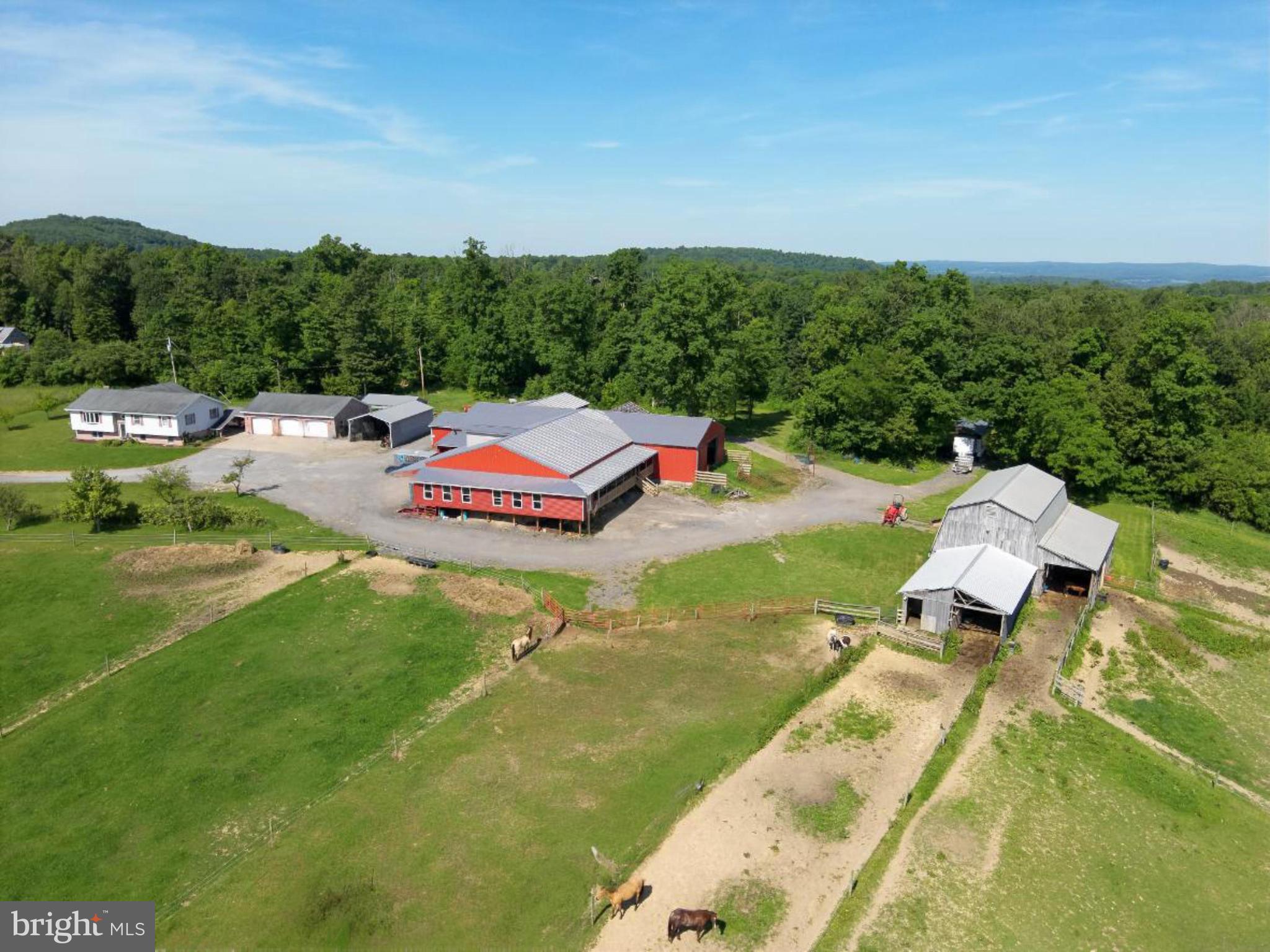 301 Dinkenberger Road Kingwood, WV 26537 - Photo 38 of 57