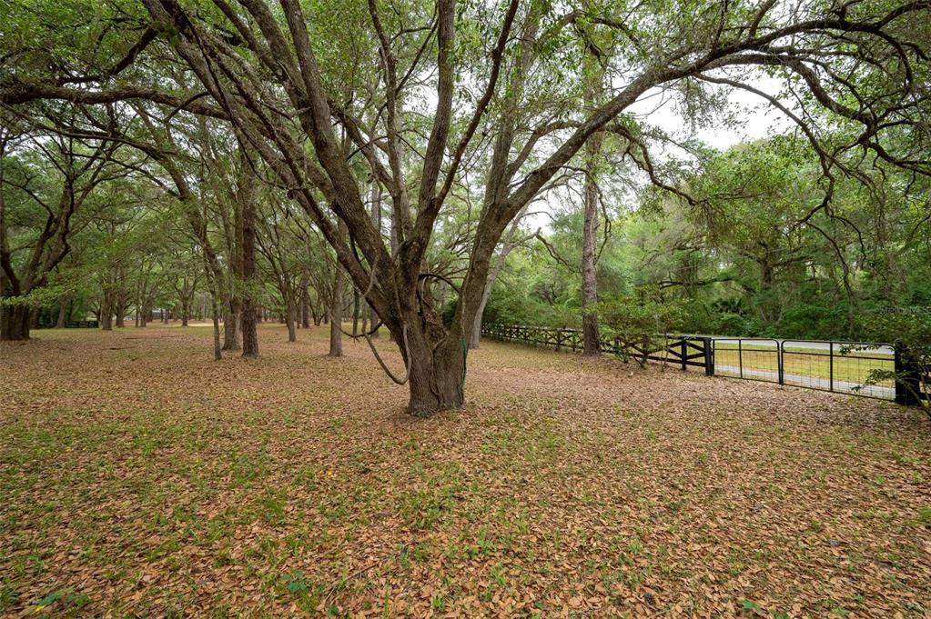 623 Southwest 93rd Street Gainesville, FL 32607 - Photo 95 of 100