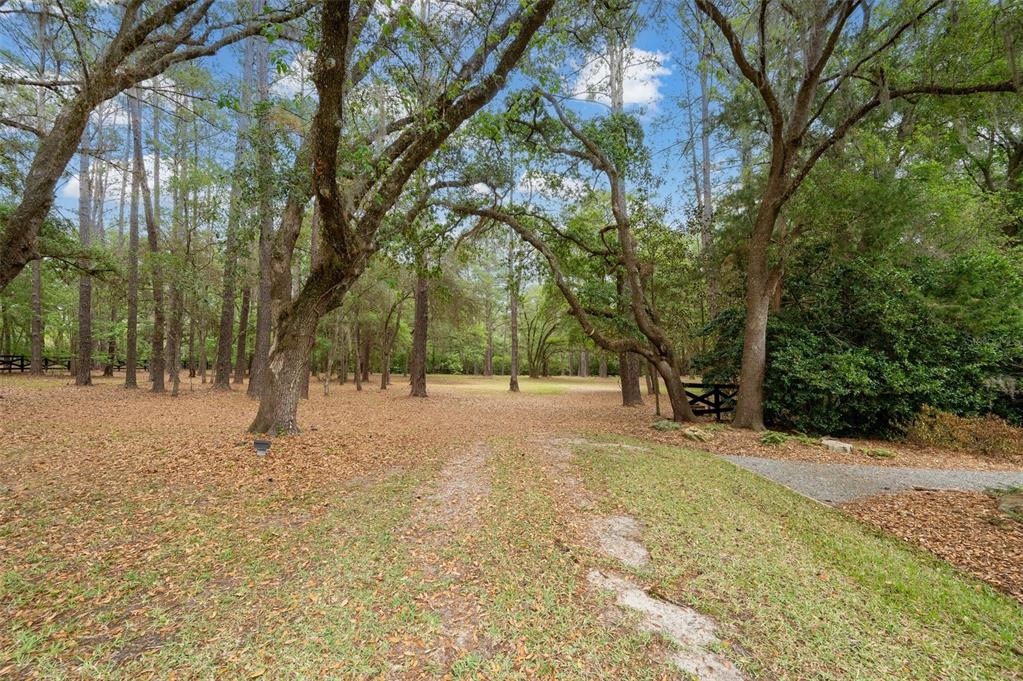 623 Southwest 93rd Street Gainesville, FL 32607 - Photo 97 of 100 a view of outdoor space with trees