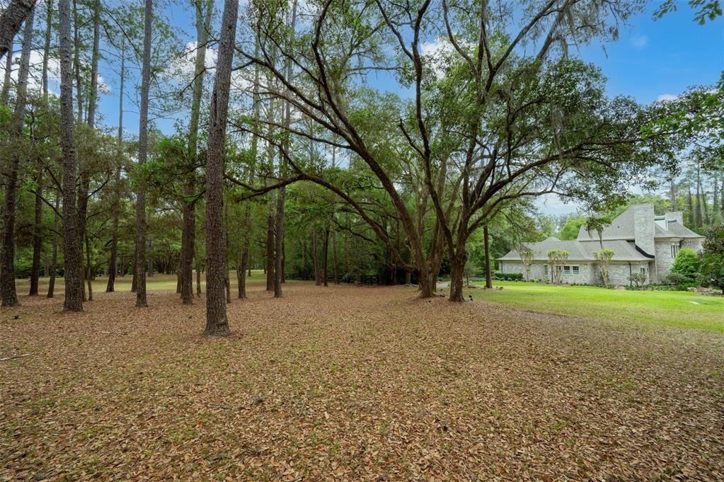 623 Southwest 93rd Street Gainesville, FL 32607 - Photo 98 of 100 a backyard of a house with lots of green space