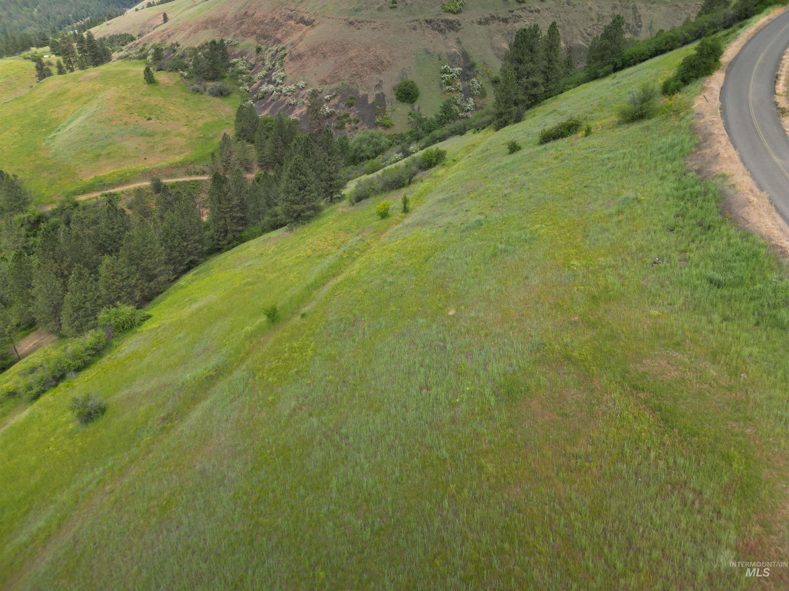 0 American Ridge Road Kendrick, ID 83537 - Photo 5 of 15