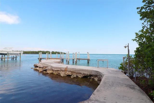 a view of a lake with a city