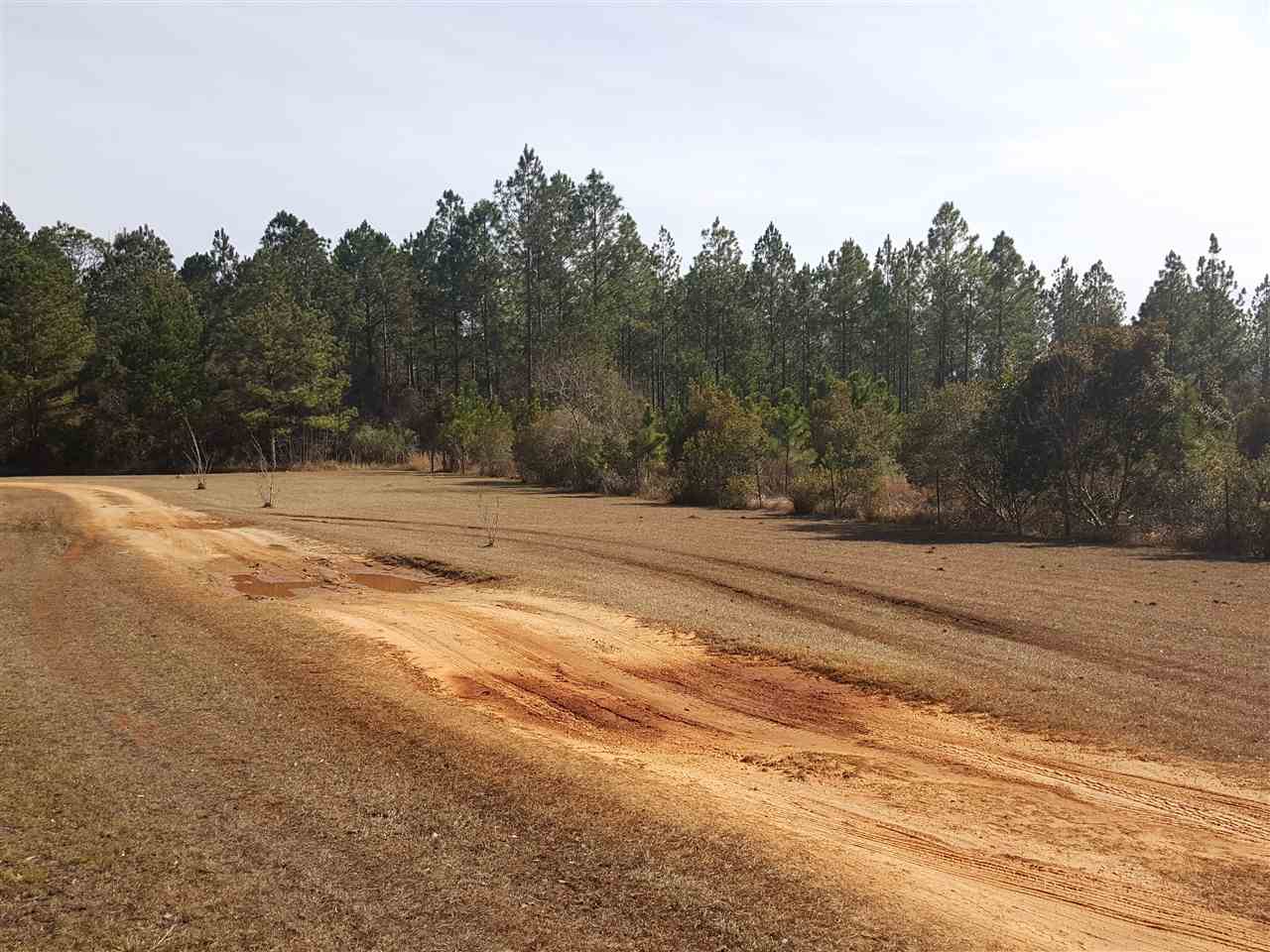 757 Floyd Johnston Road McIntosh, AL 36553 - Photo 24 of 27