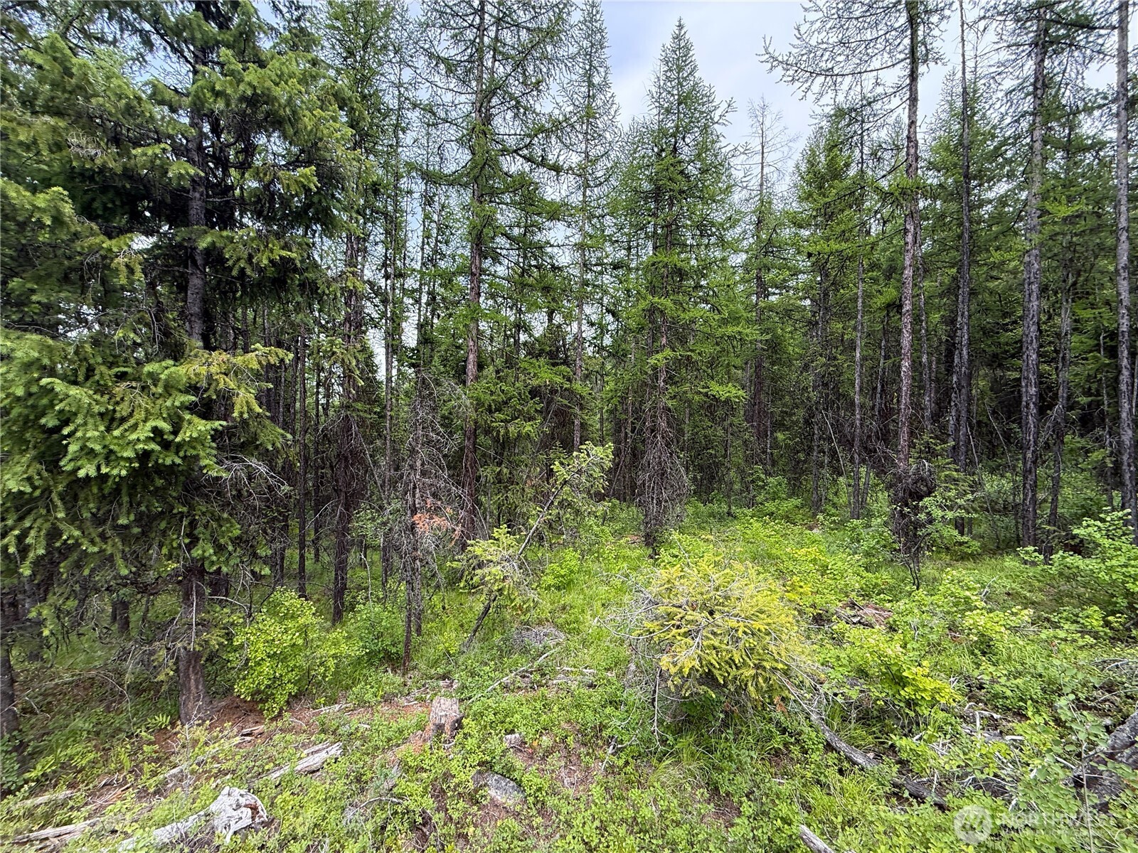 -tbd Mule Deer Road Republic, WA 99166 - Photo 4 of 11
