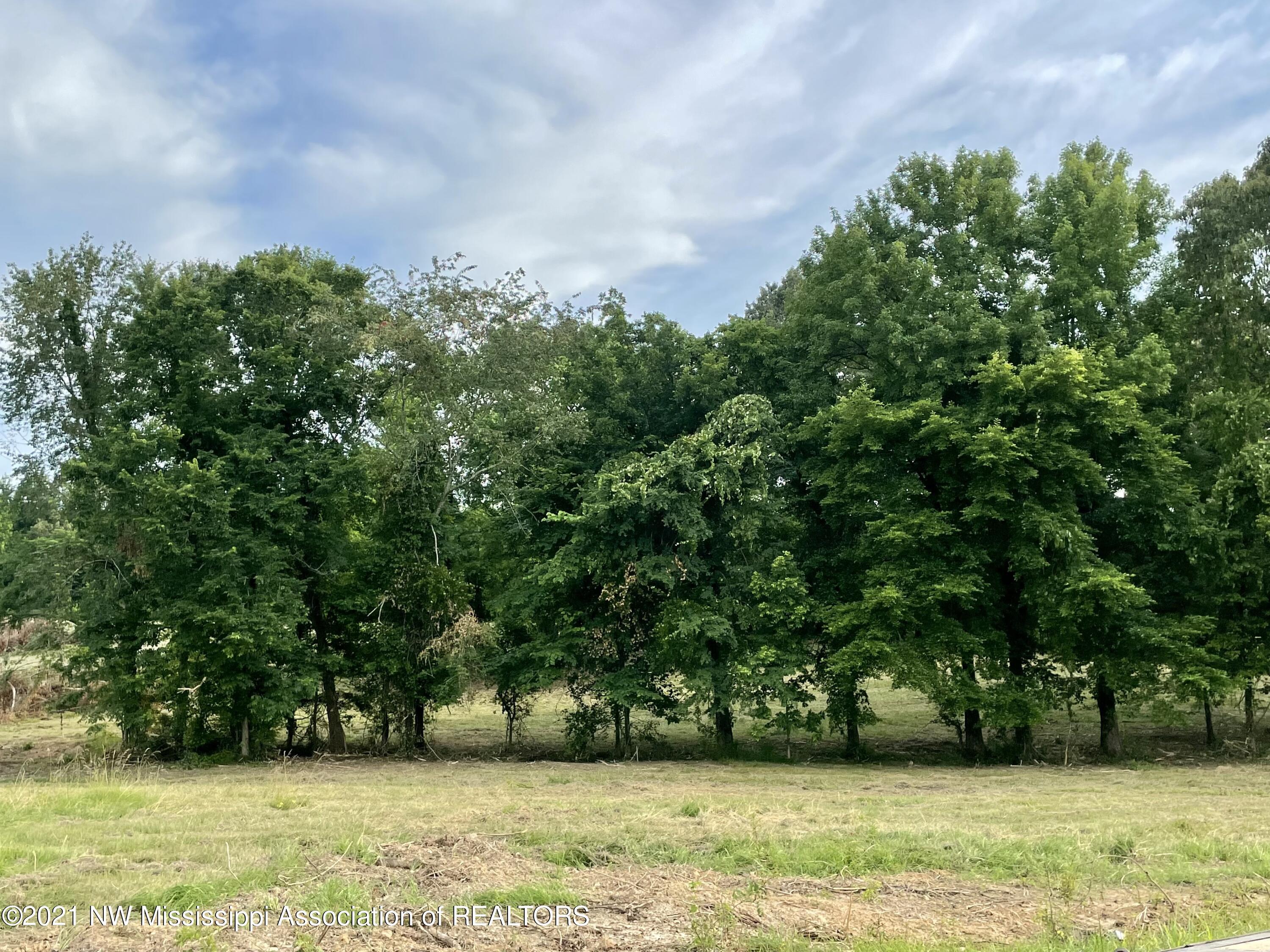 4 Ranch Road Hernando, MS 38632 - Photo 1 of 1 Lot 2 Grace Farms