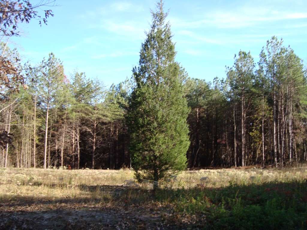 0 Bill Holbert Road Tryon, NC 28782 - Photo 1 of 12