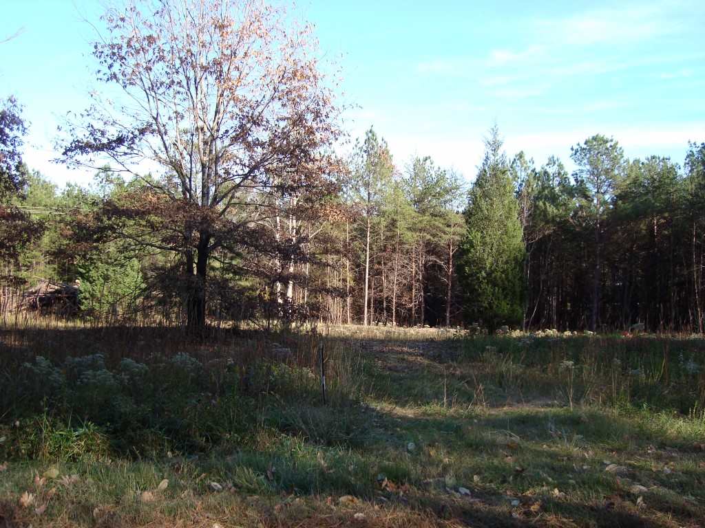 0 Bill Holbert Road Tryon, NC 28782 - Photo 11 of 12
