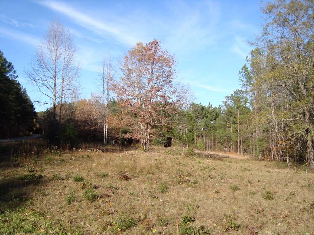 0 Bill Holbert Road Tryon, NC 28782 - Photo 12 of 12