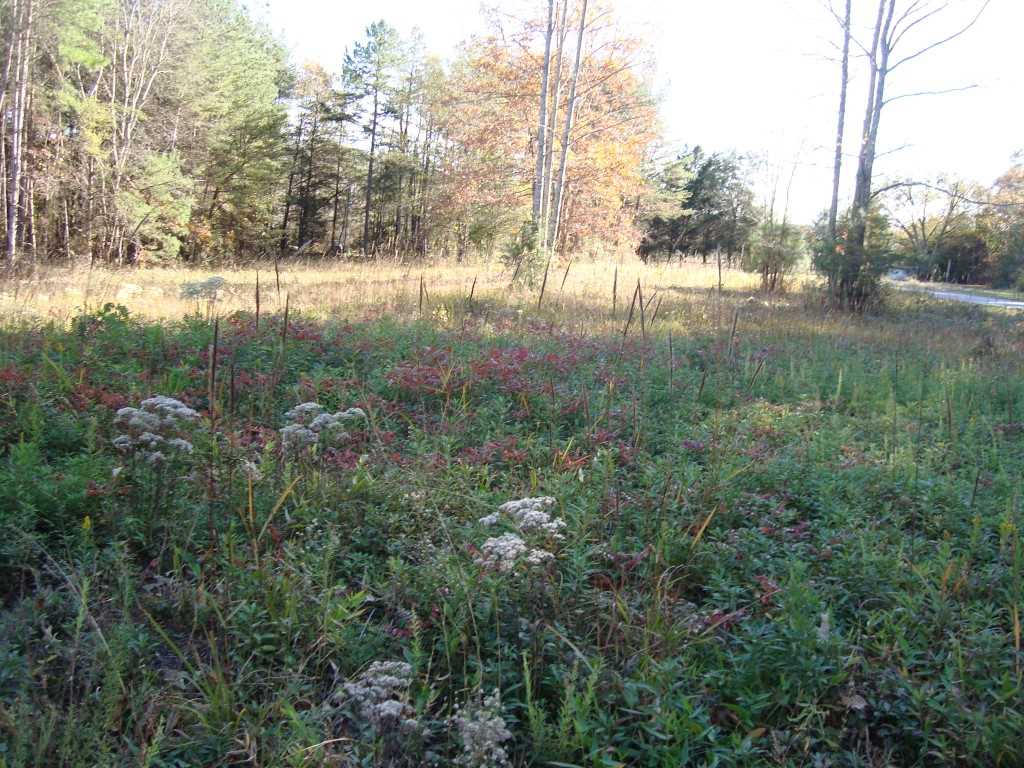 0 Bill Holbert Road Tryon, NC 28782 - Photo 2 of 12