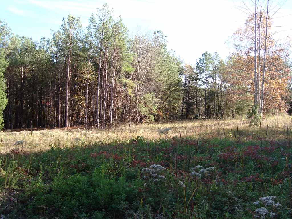 0 Bill Holbert Road Tryon, NC 28782 - Photo 3 of 12