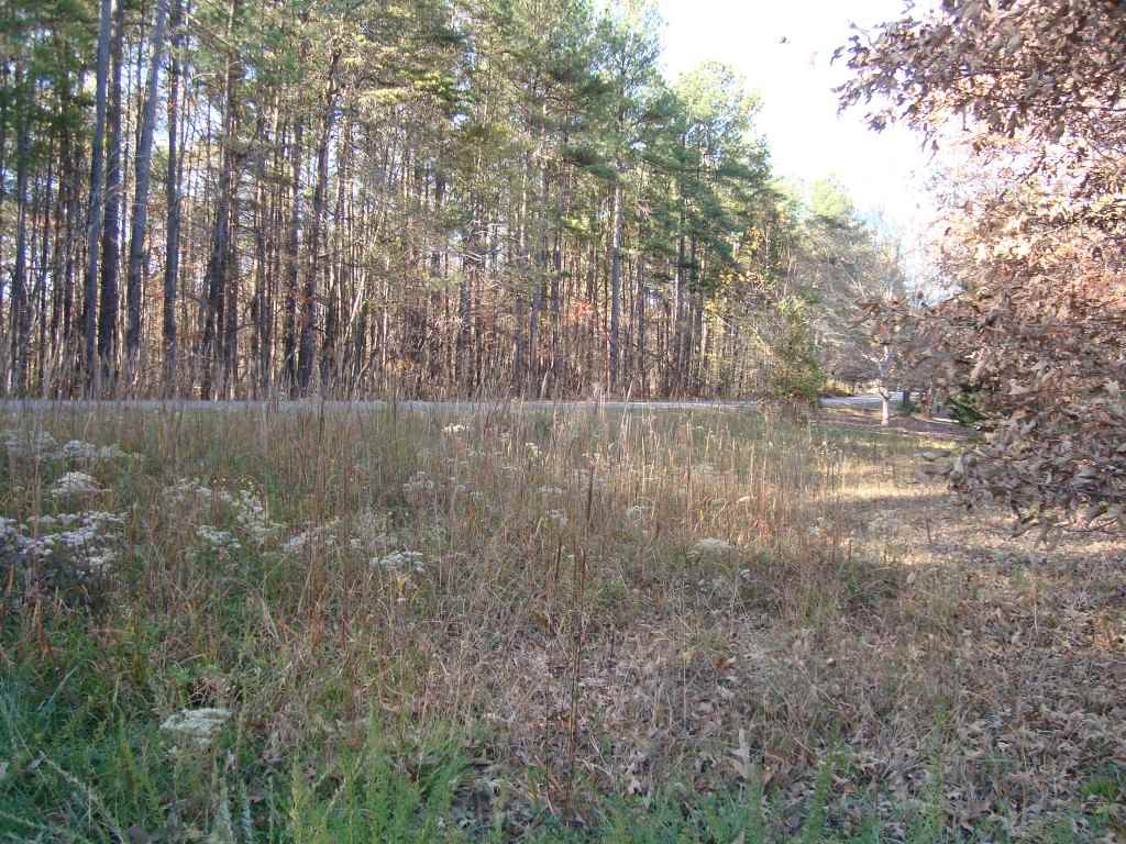 0 Bill Holbert Road Tryon, NC 28782 - Photo 4 of 12