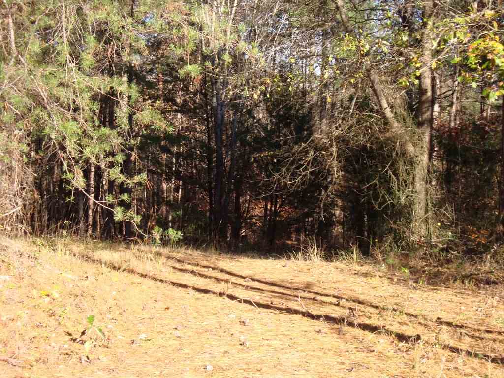 0 Bill Holbert Road Tryon, NC 28782 - Photo 7 of 12