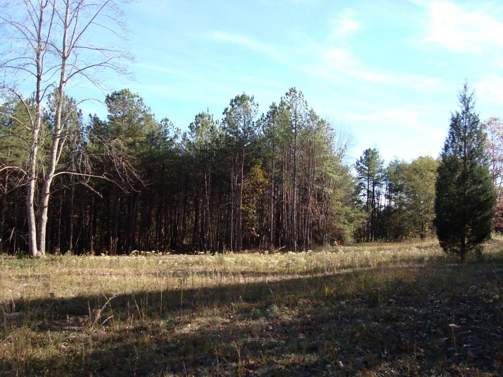 0 Bill Holbert Road Tryon, NC 28782 - Photo 8 of 12