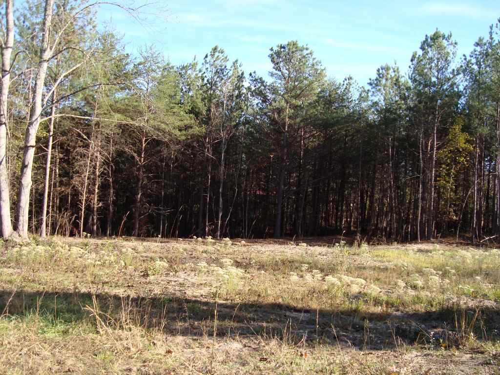 0 Bill Holbert Road Tryon, NC 28782 - Photo 9 of 12