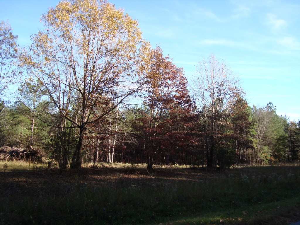 0 Bill Holbert Road Tryon, NC 28782 - Photo 10 of 12