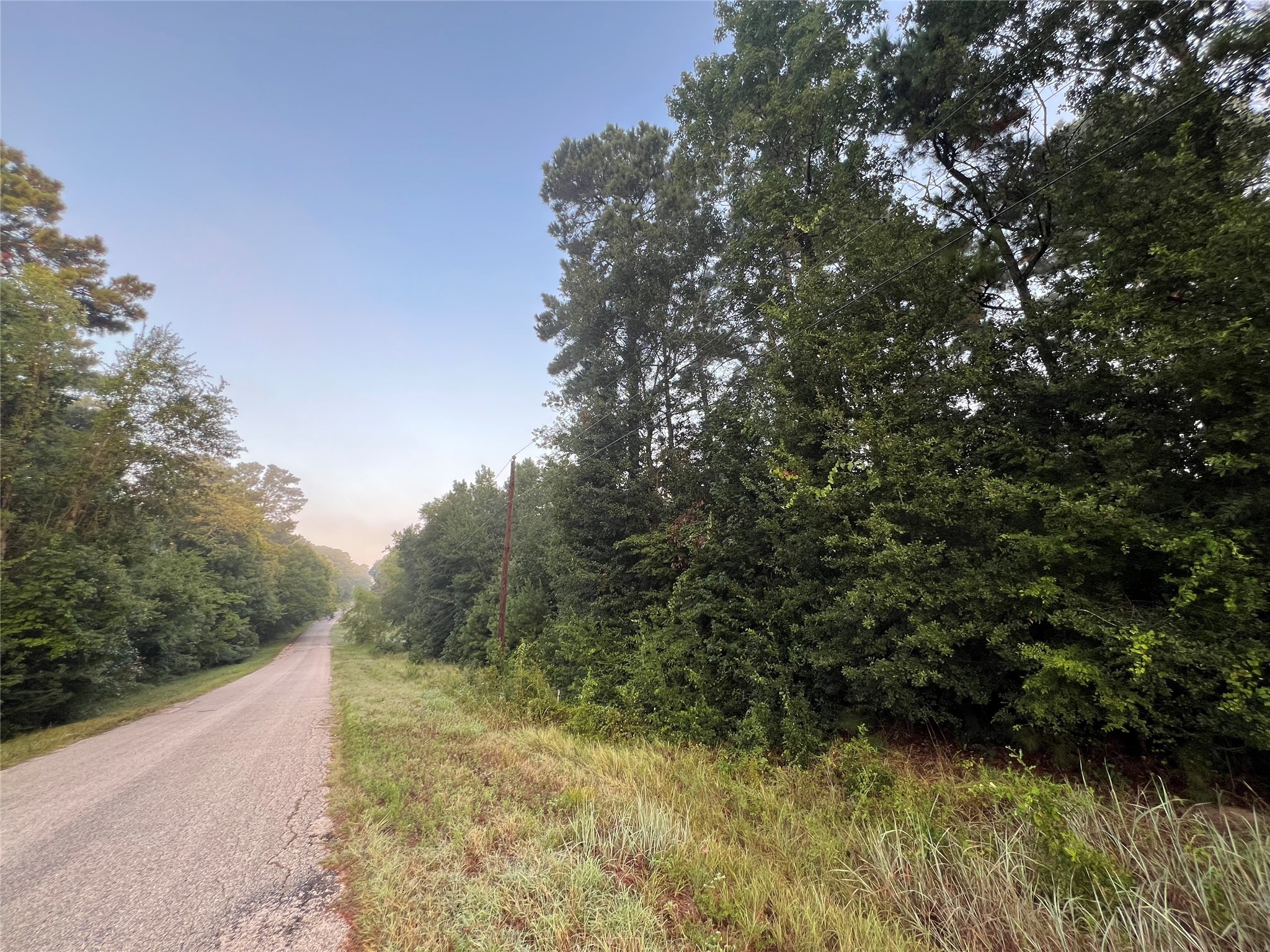 1 Autumn Way Huntsville, TX 77320 - Photo 4 of 9 a view of a yard with plants and large trees