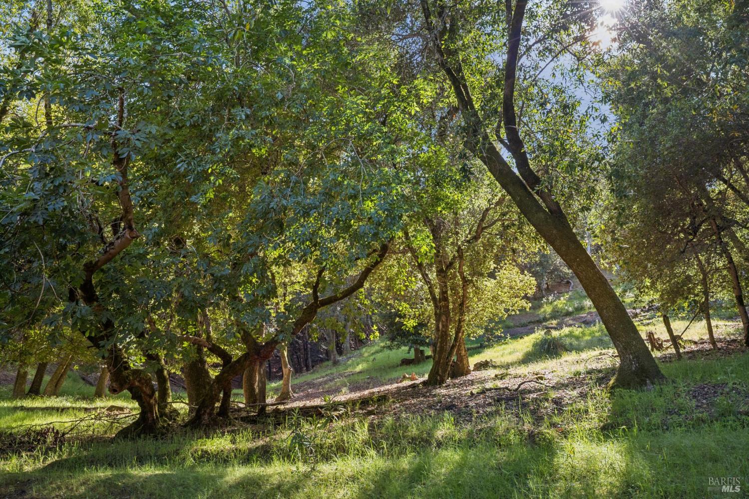 10 Arrowhead Lane Novato, CA 94949 - Photo 21 of 50