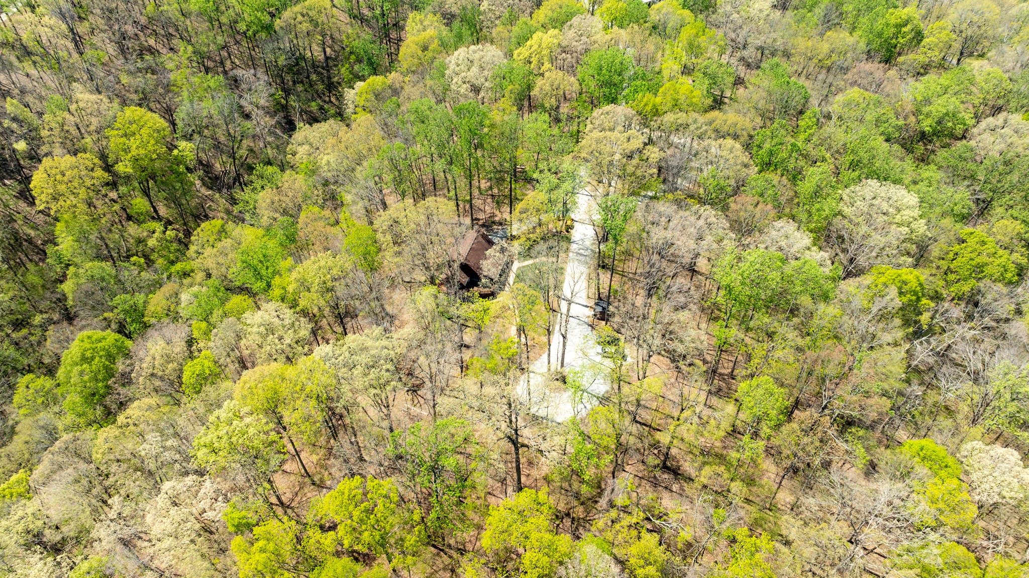 5216 Waddell Hollow Road Franklin, TN 37064 - Photo 31 of 35