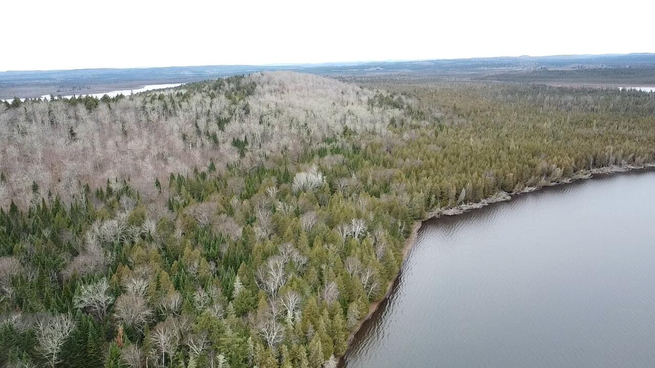 469 East Cottage Road Portage, ME 04768 - Photo 60 of 63 dji_fly_20241120_124817_0_1732124897807_