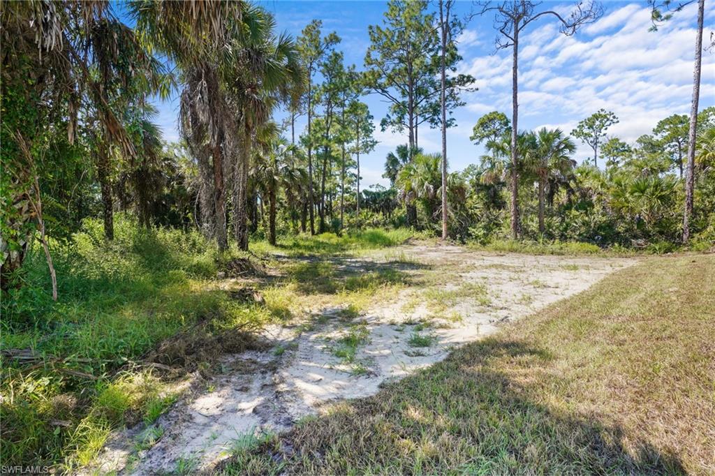 2936 40th Avenue Southeast Naples, FL 34117 - Photo 45 of 49 View of undeveloped land