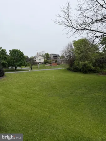 a view of a big yard next to a large tree