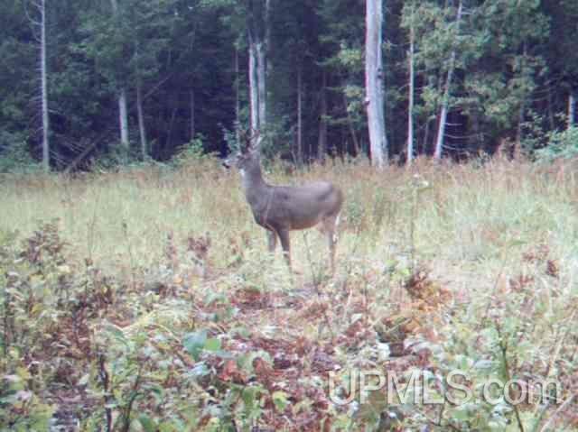 Tbd Irwin Road Baraga, MI 49908 - Photo 3 of 27