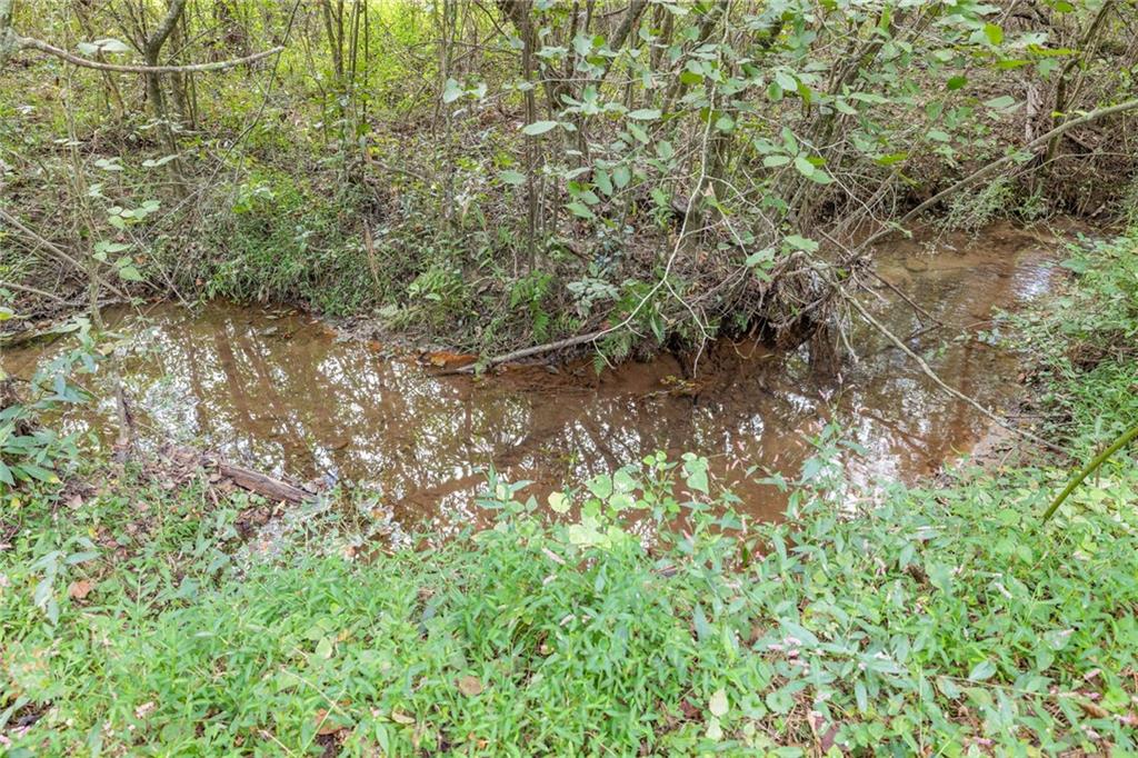 385 Amy's Road Clarkesville, GA 30523 - Photo 45 of 57 a backyard of a house with a tree