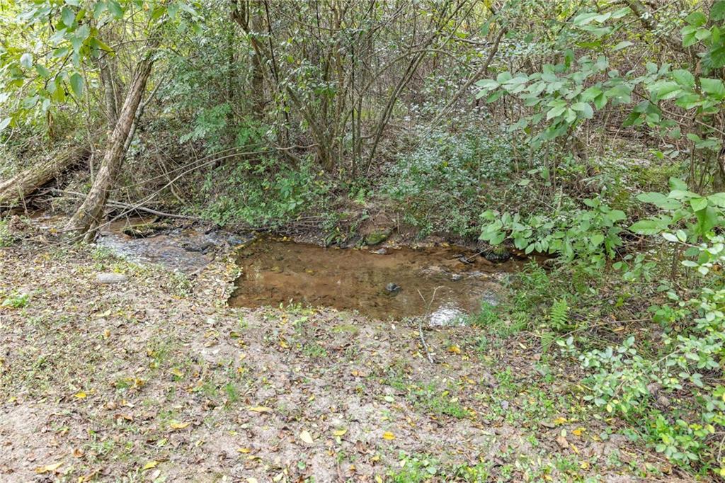 385 Amy's Road Clarkesville, GA 30523 - Photo 46 of 57 a view of a yard with plants and a bench