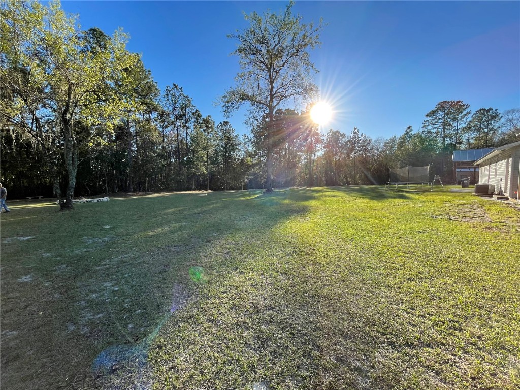 2707 Jane Lane Hilliard, FL 32046 - Photo 19 of 26 a view of a green yard