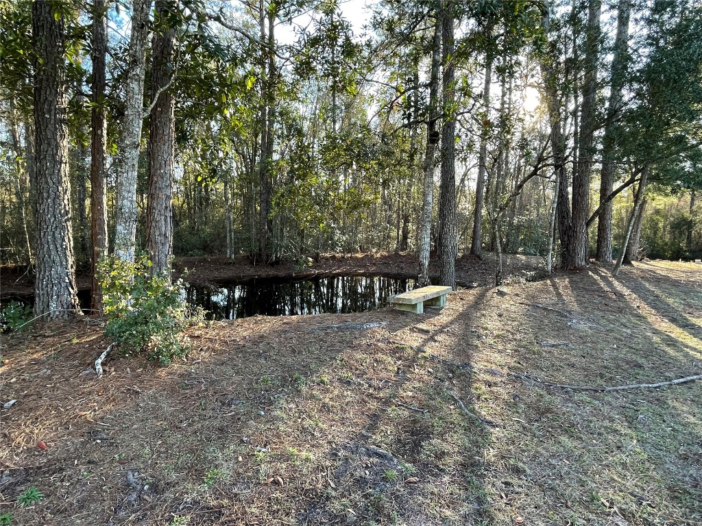 2707 Jane Lane Hilliard, FL 32046 - Photo 21 of 26 a view of backyard with green space