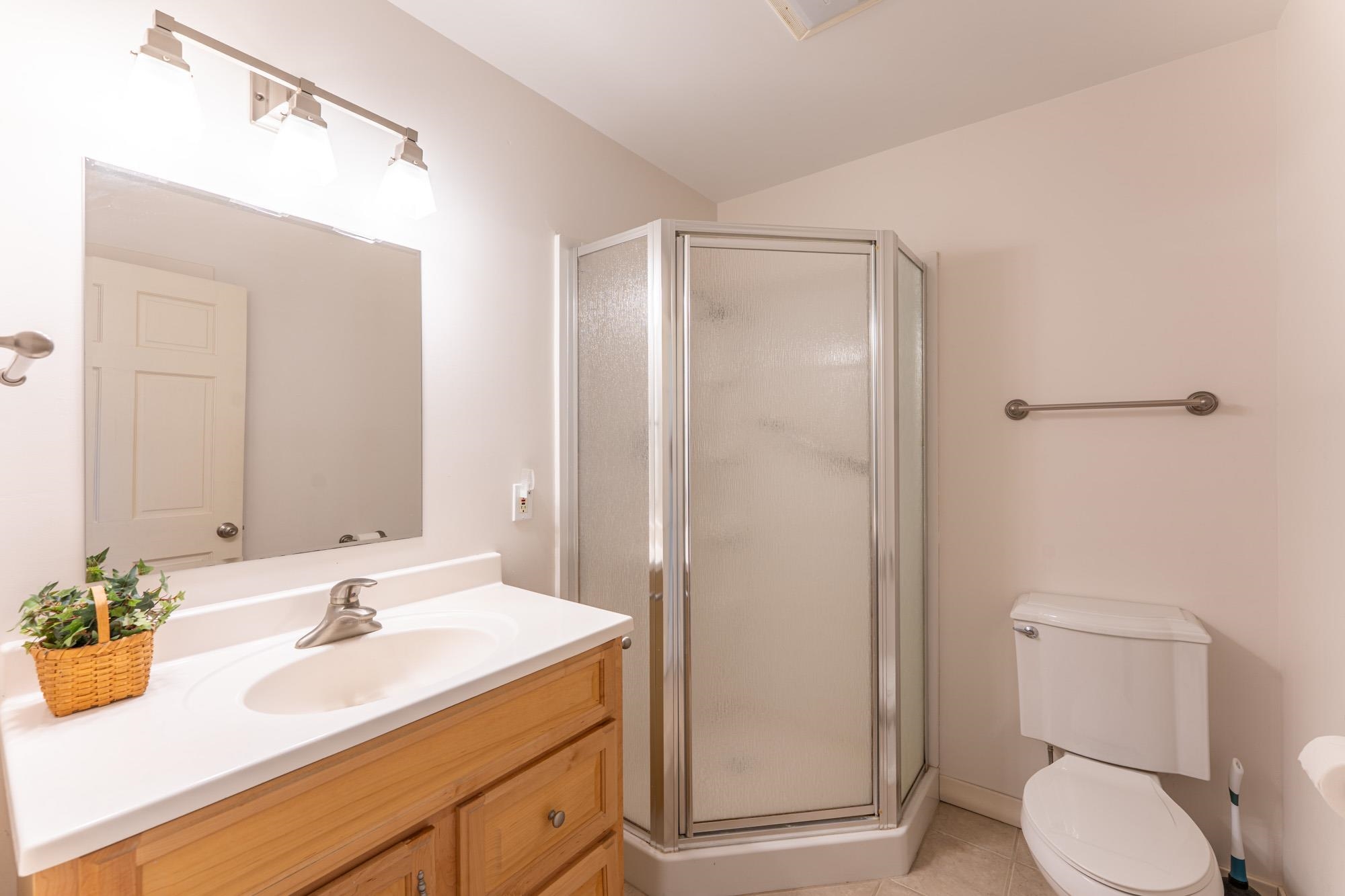 2263 Longstorff Road Ely, MN 55731 - Photo 17 of 49 Bathroom featuring vanity, tile patterned flooring, a stall shower, and toilet