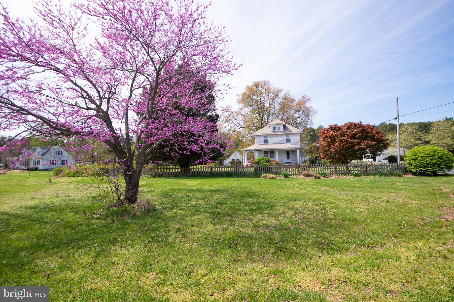 3755 Sunnyside Road East New Market, MD 21631 - Photo 2 of 37 a view of a house with a big yard and large trees