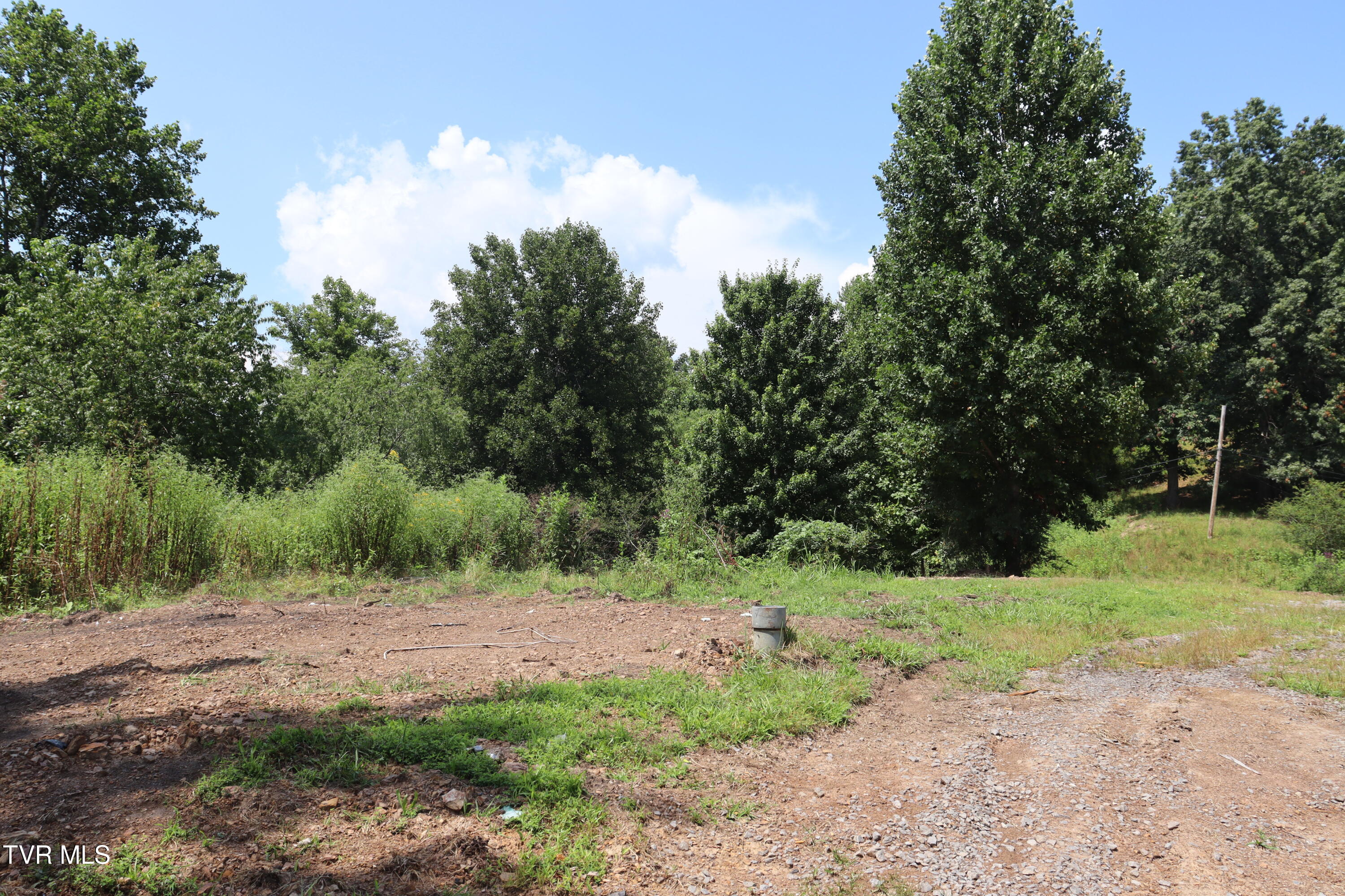 3849 Nealy Ridge Clinchco, VA 24226 - Photo 41 of 64 IMG_0159