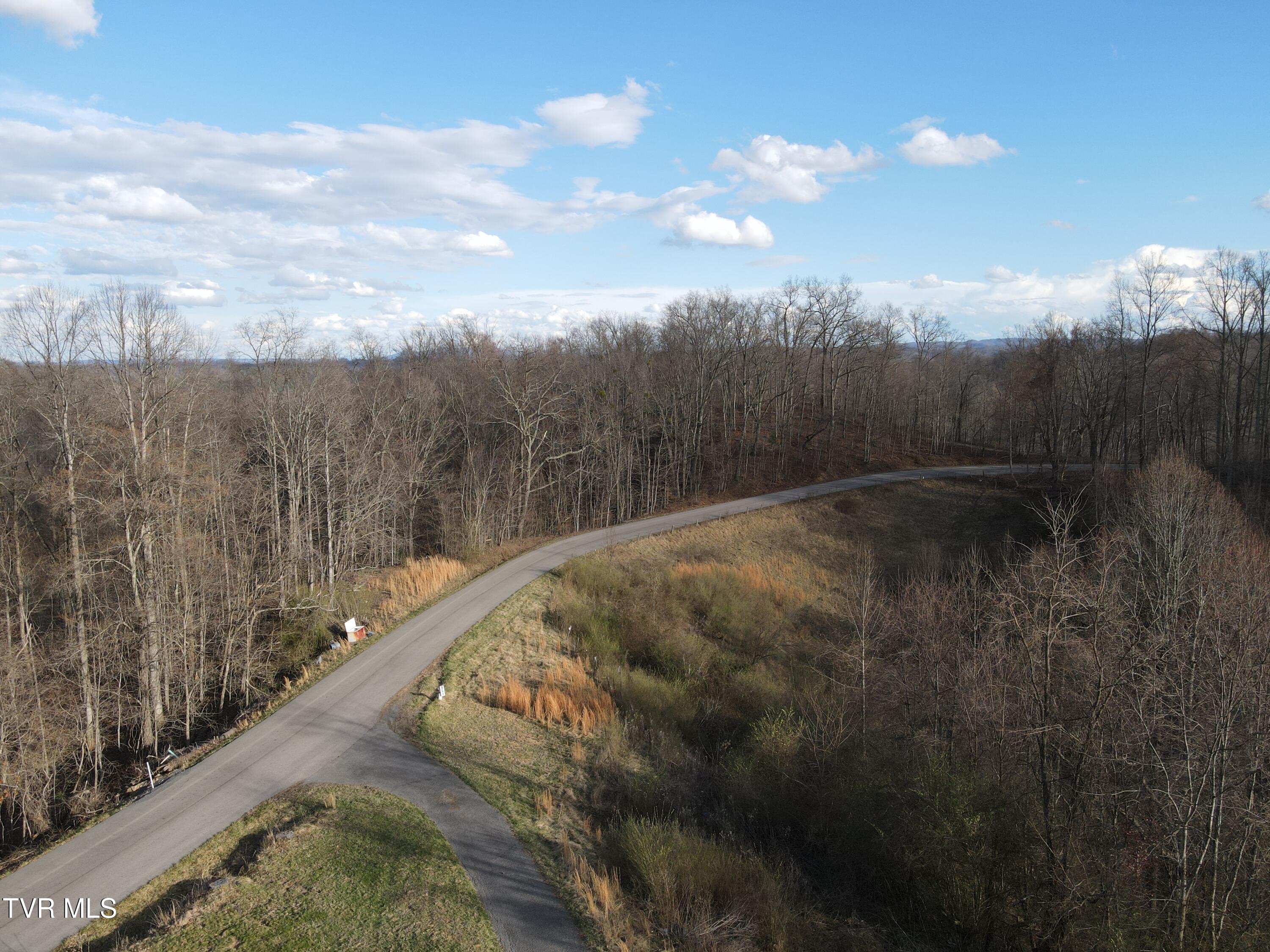 3849 Nealy Ridge Clinchco, VA 24226 - Photo 45 of 64 DJI_0423